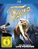 Fame (DVD)
