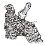 spaniel charm