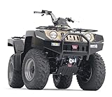 Warn Combination Winch Mount and Bumper 77084