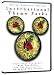 International Theme Parks