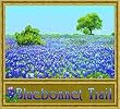 Bluebonnet Trail Coverlet