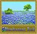 Bluebonnet Trail Coverlet