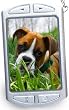 1.8" Digital Photo Keychain with Desk Frame Adaptor and Bonus Protective Pouch
