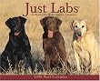 Just Labs 2008 calendar