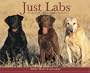 Just Labs 2008 calendar
