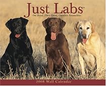 Just Labs 2008 calendar