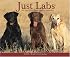 Just Labs 2008 calendar (Just)
