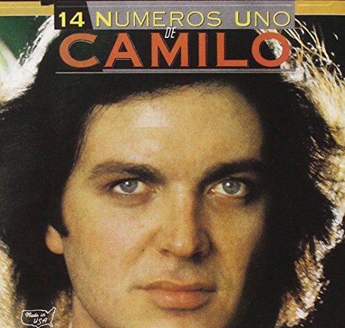 Camilo Sesto - El Amor De Mi Vida Lyrics - Zortam Music