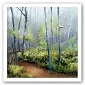 Early Spring Woods by Robert Striffolino 20"x20" Art Print Poster