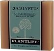 Eucalyptus 100% Pure & Natural Aromatherapy Herbal Soap- 4 oz (113g)