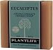 Eucalyptus 100% Pure & Natural Aromatherapy Herbal Soap- 4 oz (113g)