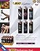 BIC Fantasy Lighter - 5 Lighters