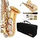 360-LN - Lacquer/Nickel Alto Saxophone Lazarro+12 Reeds,Music Pocketbook,Pro Case and Care Kit - 12 COLORS Available ! ! ! CLICK on LISTING to SEE All Colors
