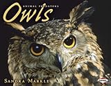 Owls