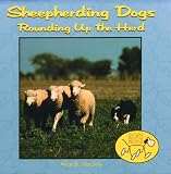 Sheepherding Dogs - Rounding up the Herd (Dogs Helping People)