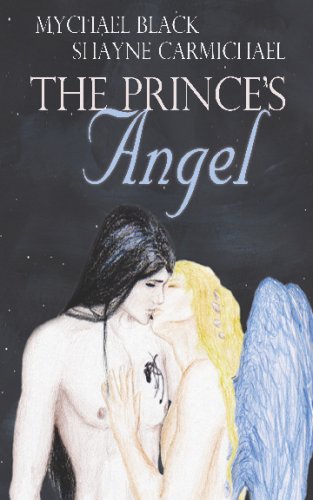 City Travel Guides Discounted  Books : The Prince's Angel