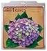 EuroQuest Imports Hydrangeas Deco Parchment Leaves, Pack of 20