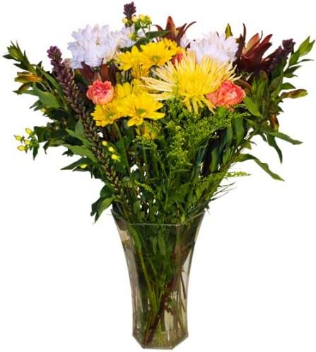 Endless Summer Bouquet - Mixed Fresh Cut Flowers - 25 Stems
