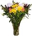 Mix and Match - Endless Summer Bouquet - Mixed Fresh Cut Flowers - 25 Stems