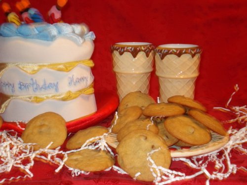 Chocolate Chip Sensations 