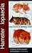 Hamsterlopaedia: A Complete Guide to Hamster Care