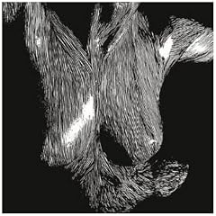 Self-Preserved While The Bodies Float