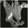 Bild des Albums von Oceansize