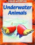 Underwater Animals (Junior Adventure)