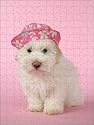 Jigsaw of DOG - Coton de Tulear puppy (8 wks old) wearing a pink hat from Ardea
