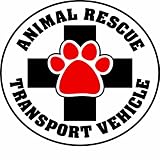 Imagine This 4-3/4-Inch by 4-3/4-Inch Car Magnet Social Issues Circle, Animal Rescue Transport Vehicle