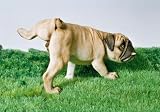 PUG Sculpture PEEING DOG Statue figurine home decor