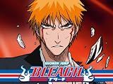 Bleach: Season 11