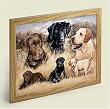 Labs -Rascals Become Legends ~ cork Bulletin Board ~ code 056