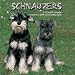 schnauzer30 - Schnauzers 2009 Wall Calendar