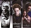Twilight Cullens, Edward, Edward/Bella Bookmarks Set of 3 NEW