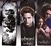 Twilight Cullens, Edward, Edward/Bella Bookmarks Set of 3 NEW