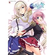 ワルキューレ ロマンツェ［少女騎士物語］ ビジュアルファンブック (TECHGIAN STYLE)[アダルト]