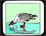 Produkt-Bild: Mauspad mit der Grafik: Wasser, Gray, Trinken, Seagull, Seev&ouml;gel