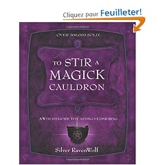 To Stir a Magick Cauldron: A Witch's Guide to Casting and Conjuring