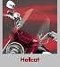 Hellcat Handlebar Mount Windshield - 18 inches Tall
