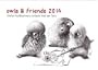 owls & friends 2014 (Wandkalender 2014 DIN A4 quer)