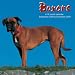   - Boxers 2009 Wall Calendar 12