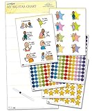 My Big Star Chart (1yr+)