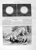 1875 Venus Astronomy Honolulu Otter Hound Ulverston