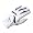 Paragon Rising Star Junior Kids Golf Gloves Boys (Small, Left (for Right-Handed Golfers))