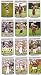 2008 Topps Arizona Cardinals Complete Team Set of 14 cards including Kurt Warner, Anquan Boldin and more!