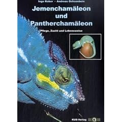 Jemencham�leon und Panthercham�leon: Pflege, Zucht und Lebensweise