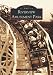 Riverview Amusement Park (IL) (Images of America)