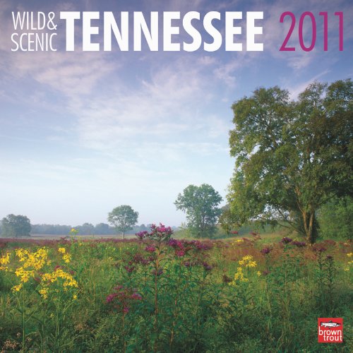 Tennessee Wild & Scenic 12X12 Wall