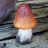 from Gardens2You Pointed Terracotta Mushroom or Toadstool Garden Ornament